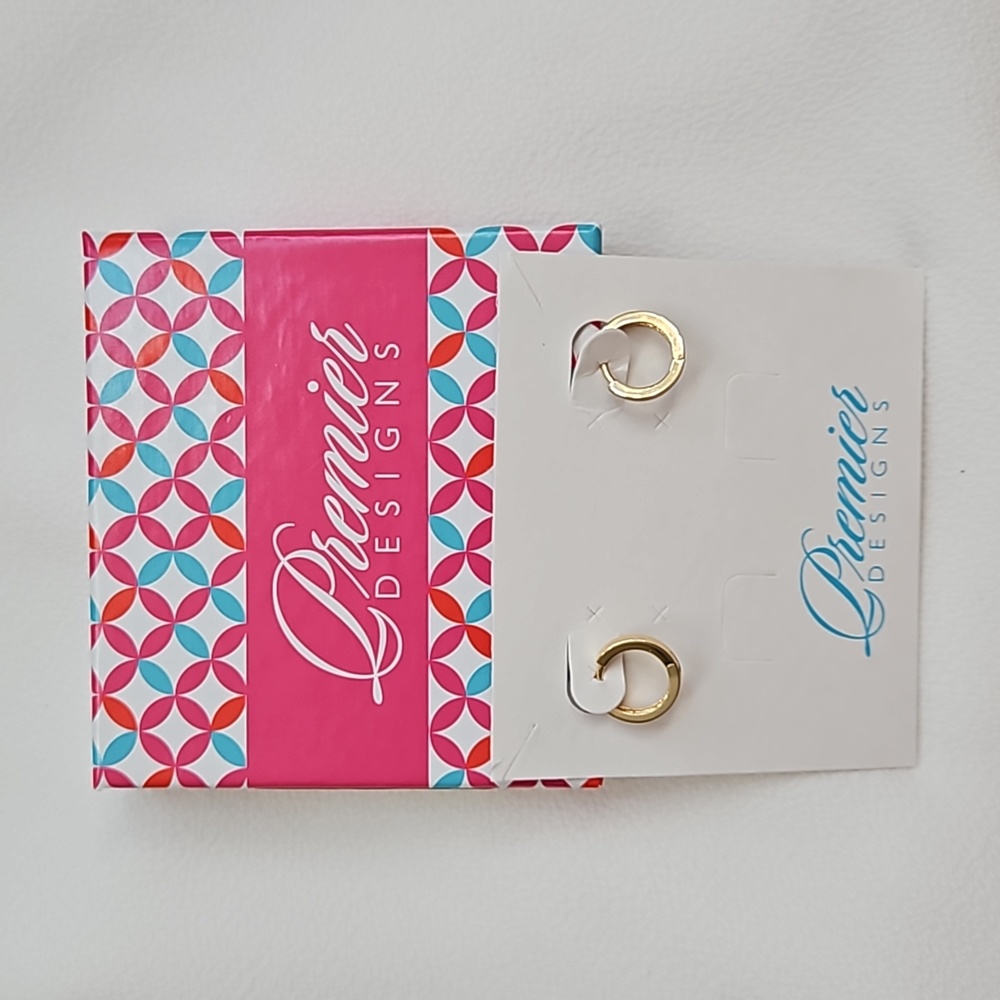 Snug earrings by Premier Designs